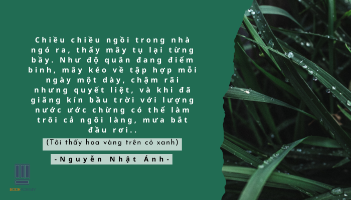 tóm tắt tôi thấy hoa vàng trên cỏ xanh - Hình 2