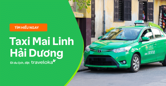 tổng đài taxi mai linh hải dương - Hình 1