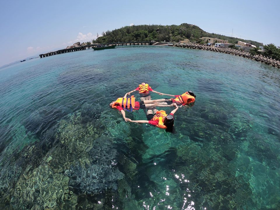 tour cù lao xanh quy nhơn - Hình 3