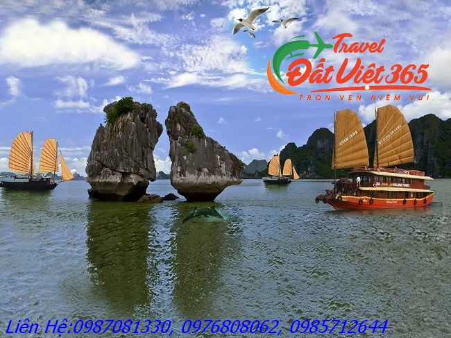tour du lịch giá rẻ từ tphcm