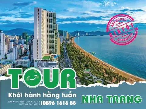 Review Tour Nha Trang Bằng Tàu Hỏa: Trải Nghiệm Độc Đáo Từ Sài Gòn Đến Đảo Hoang Sơ