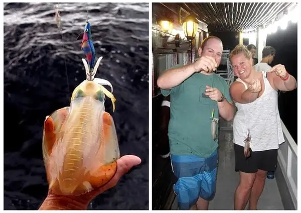 Tour Phú Quốc 2 Ngày 1 Đêm: Đánh Giá Toàn Diện Và Trải Nghiệm Thực Tế Tour Phú Quốc 2 Ngày 1 Đêm: Đánh Giá Toàn Diện Và Trải Nghiệm Thực Tế