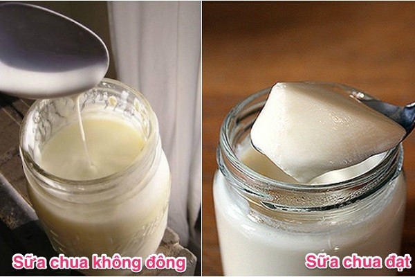 ủ sữa chua bao nhiêu độ - Hình 2