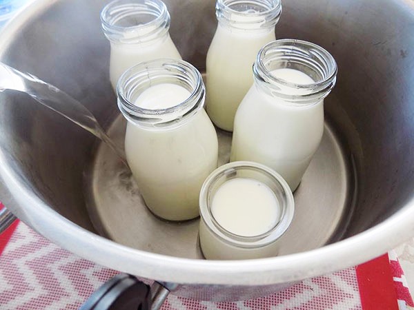 ủ sữa chua bao nhiêu độ - Hình 3