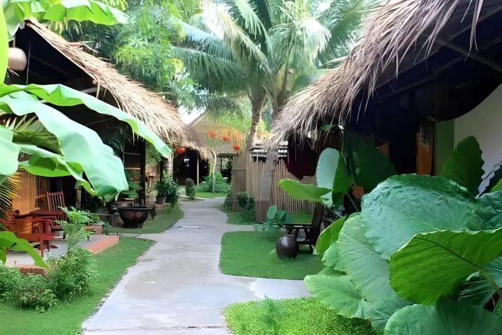 Review Homestay Under The Coconut Tree Hội An: Khoảnh Khắc Thư Giãn Gần Biển An Bang Review Homestay Under The Coconut Tree Hội An: Khoảnh Khắc Thư Giãn Gần Biển An Bang