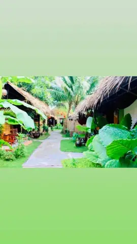 Review Homestay Under The Coconut Tree Hội An: Khoảnh Khắc Thư Giãn Gần Biển An Bang Review Homestay Under The Coconut Tree Hội An: Khoảnh Khắc Thư Giãn Gần Biển An Bang