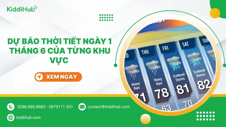 Cách Vẽ Hoa Tặng Cô Ngày 20/11 Đơn Giản Nhưng Đẹp: Hướng Dẫn Chi Tiết Từ A-z