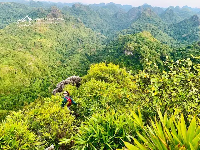Đánh Giá Chi Tiết Vé & Hoạt Động Tham Quan Vườn Quốc Gia Cát Bà Đánh Giá Chi Tiết Vé & Hoạt Động Tham Quan Vườn Quốc Gia Cát Bà