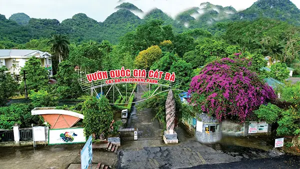 Đánh Giá Chi Tiết Vé & Hoạt Động Tham Quan Vườn Quốc Gia Cát Bà Đánh Giá Chi Tiết Vé & Hoạt Động Tham Quan Vườn Quốc Gia Cát Bà