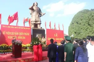 Vị Trí Địa Lý Bình Định: Tổng Quan Và Phân Tích Chi Tiết
