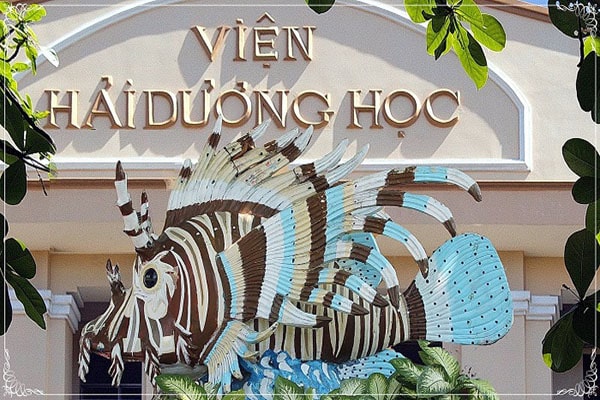 viện hải dương học vũng tàu - Hình 3