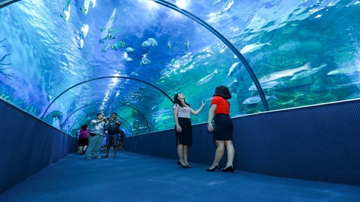 viện hải dương học vũng tàu - Hình 1