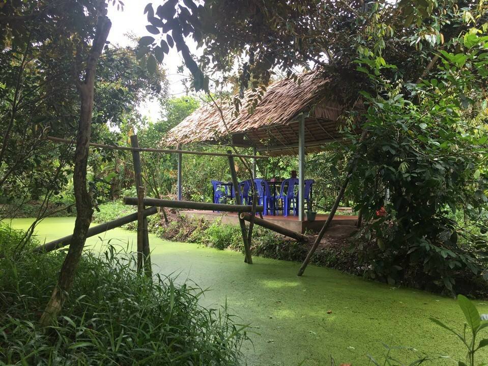 vườn trái cây sinh thái rạch kè 8 đôi - Hình 2