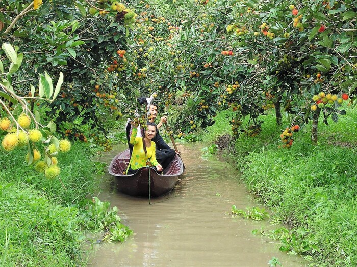vườn trái cây sinh thái rạch kè 8 đôi - Hình 3