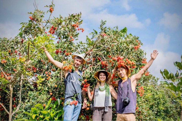 vườn trái cây sinh thái rạch kè 8 đôi - Hình 4