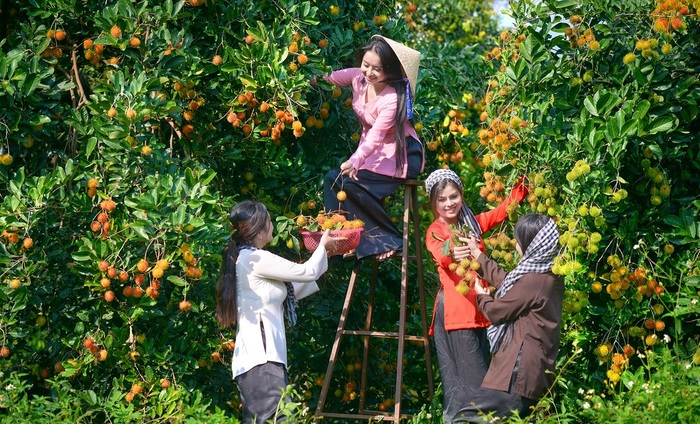 vườn trái cây sinh thái rạch kè 8 đôi