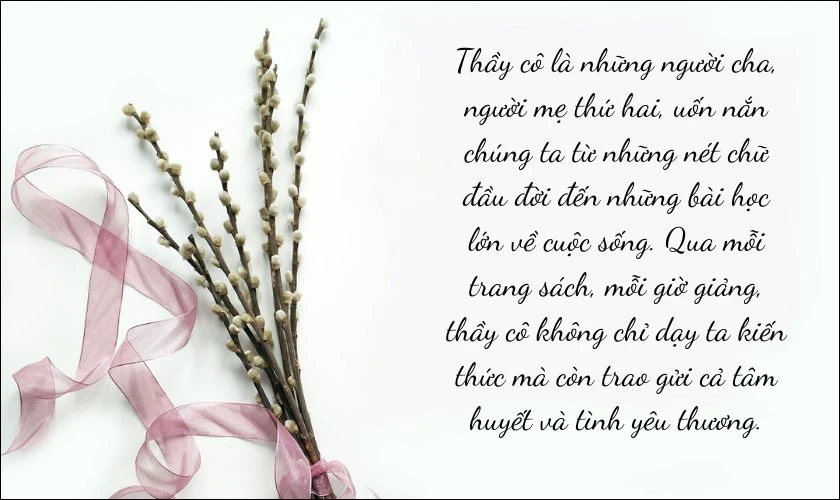 xã luận về ngày 20 11 - Hình 2
