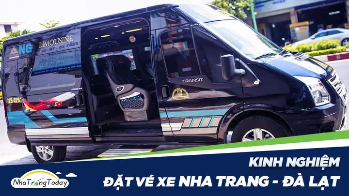 Top 7 Mẫu Xe Cúc Tùng Phổ Biến Nhất Tại Nha Trang Và Đà Lạt Top 7 Mẫu Xe Cúc Tùng Phổ Biến Nhất Tại Nha Trang Và Đà Lạt