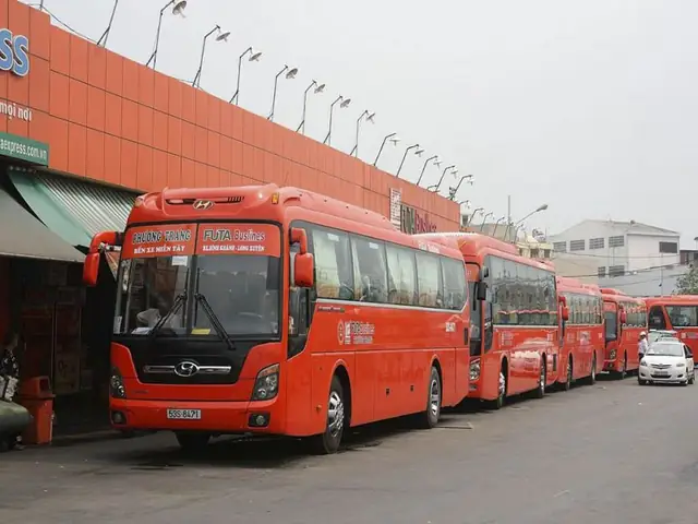 Top 7 Mẫu Xe Cúc Tùng Phổ Biến Nhất Tại Nha Trang Và Đà Lạt
