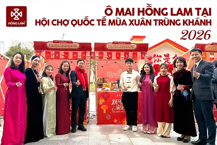 Bánh Trung Thu: Khám Phá Nguồn Gốc Và Ý Nghĩa Văn Hóa