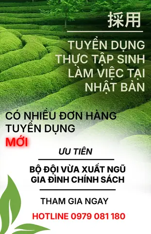 Lá Nhật Bằng Bao Nhiêu Tiền Việt Nam? Tổng Tất Tần Tật Về Đồng Yên