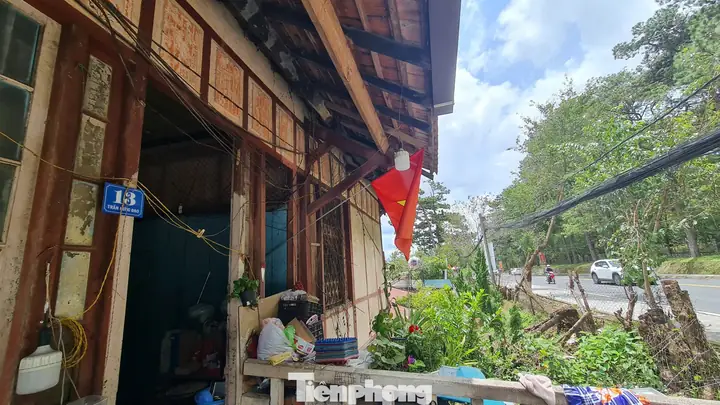 Đường Trần Hưng Đạo Số 13 Đà Lạt Là Gì? Khám Phá Điểm Đến Ít Người Biết
