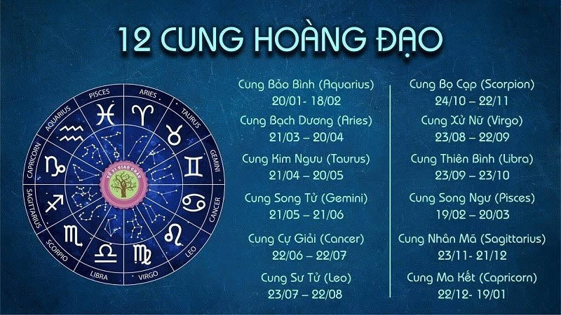 19 tháng 11 là cung gì - Hình 1