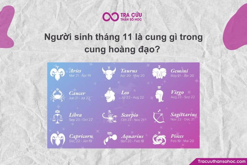 19 tháng 11 là cung gì - Hình 2