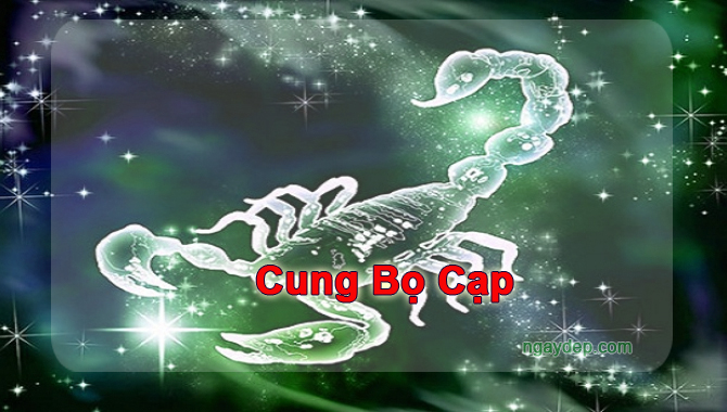 19 tháng 11 là cung gì - Hình 4