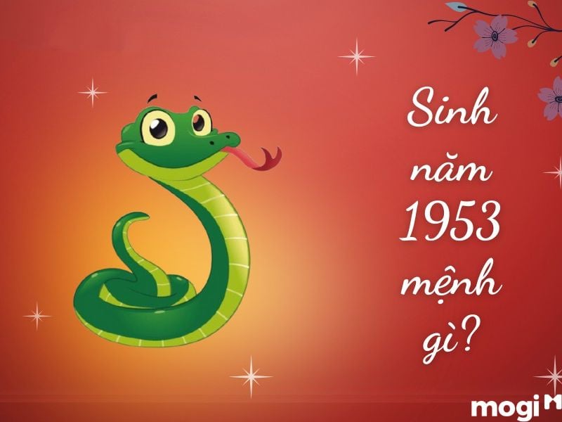 1953 năm nay bao nhiêu tuổi - Hình 5