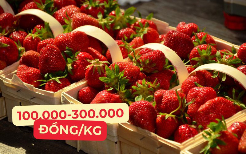 1kg dâu tây bao nhiêu tiền - Hình 3