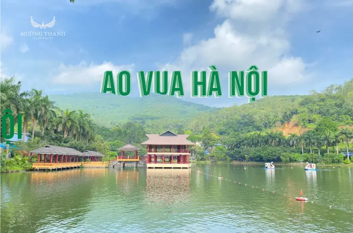 Ao Vua Sơn Tây Hà Nội: Điểm Đến Lịch Sử Và Văn Hóa Đáng Ghé Thăm?