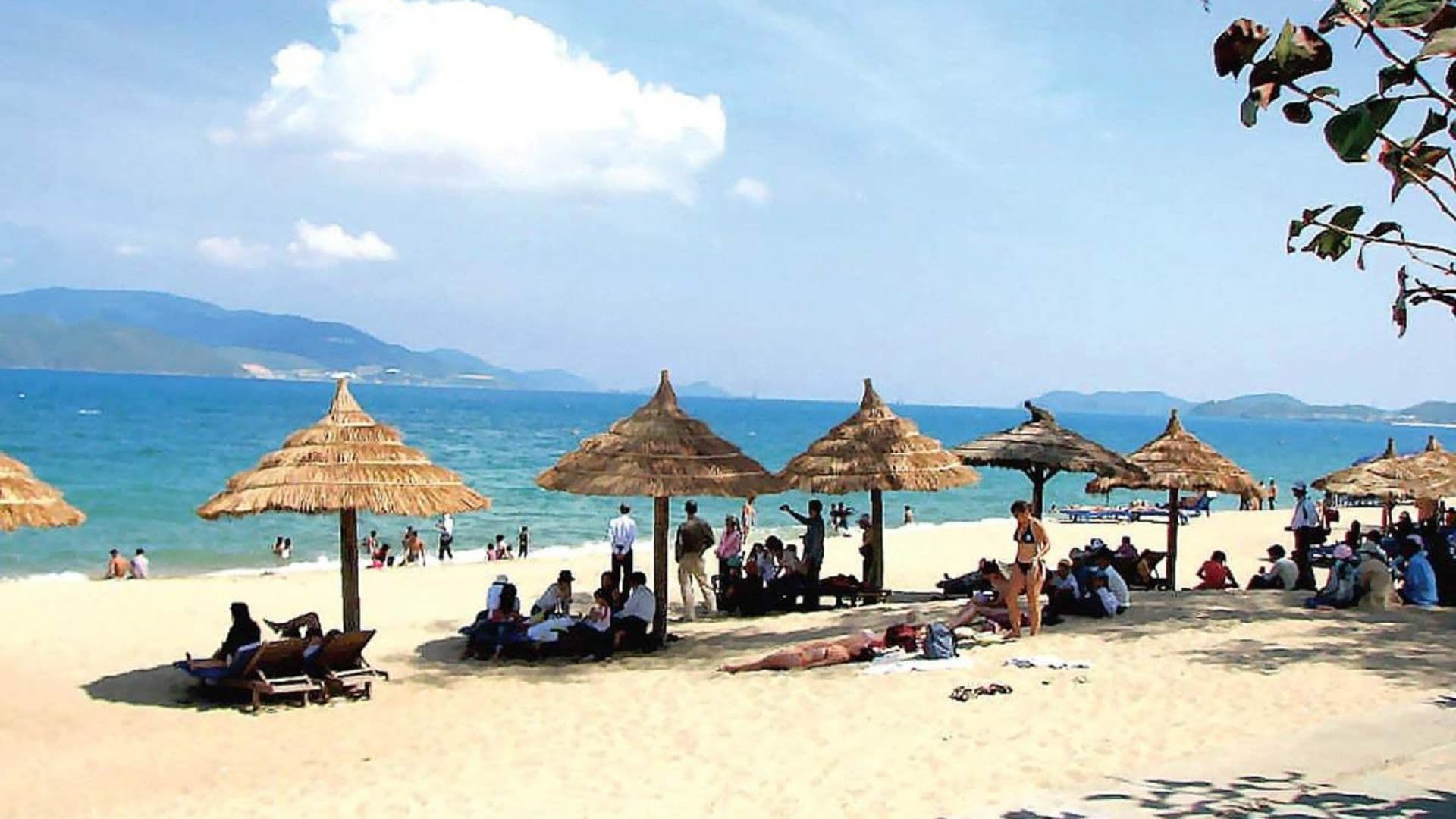 bãi biển nhật lệ quảng bình - Hình 3