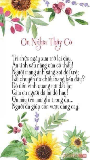bài thơ ơn nghĩa thầy cô - Hình 1