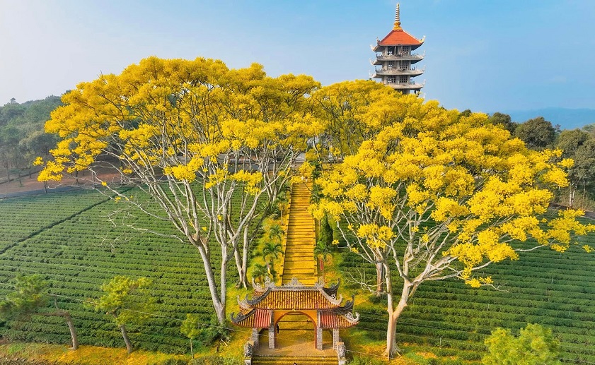 bảo lộc lâm đồng có gì chơi - Hình 2