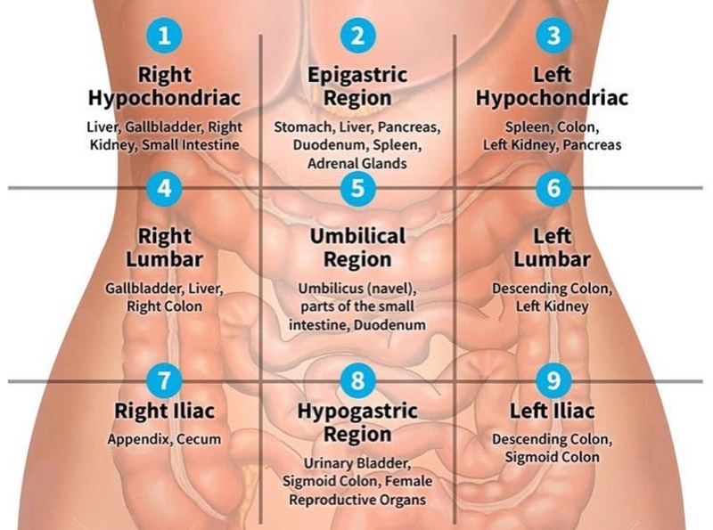 bầu đau bụng dưới bên trái - Hình 4