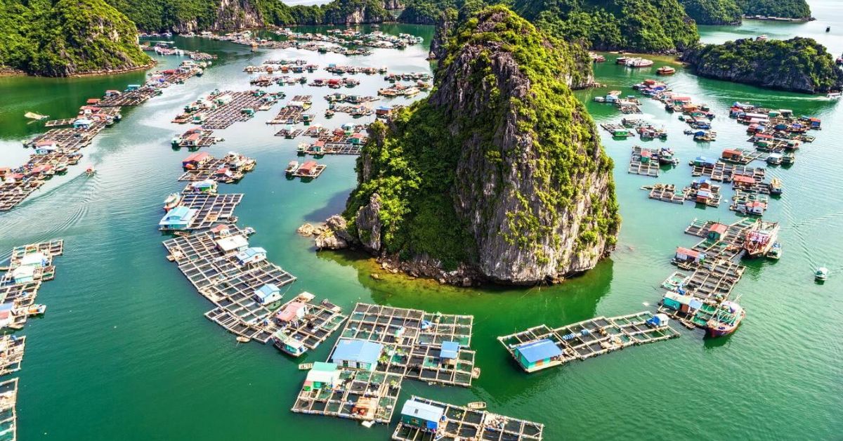 bến bèo tt cát bà cát hải hải phòng - Hình 2