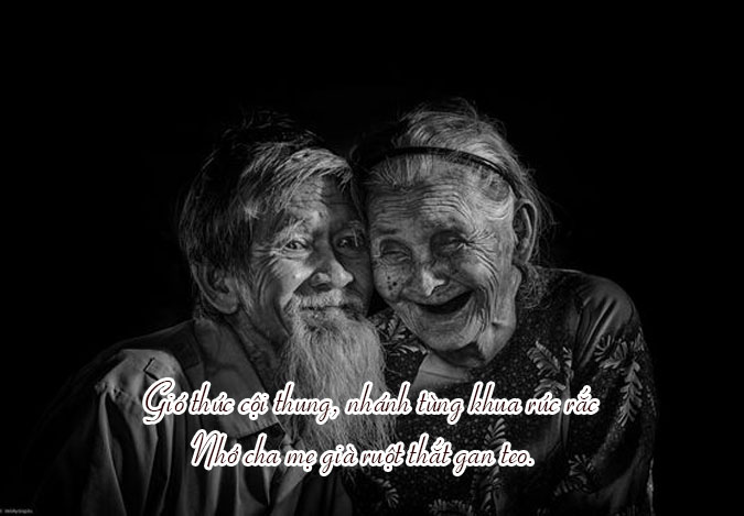 ca dao về lòng biết ơn - Hình 3