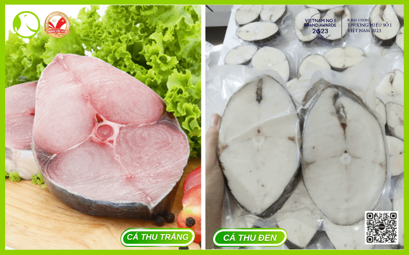 cá thu trắng và cá thu đen