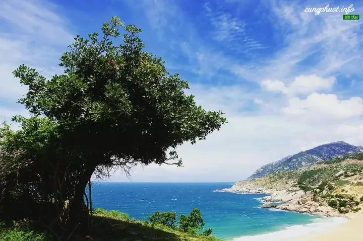 Top 20 Địa Điểm Du Lịch Ninh Thuận Đáng Đến Nhất Top 20 Địa Điểm Du Lịch Ninh Thuận Đáng Đến Nhất