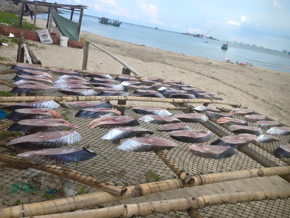 cách làm cá thu 1 nắng - Hình 4