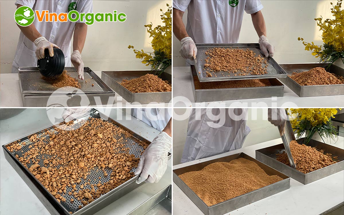 cách làm muối ớt tây ninh - Hình 3