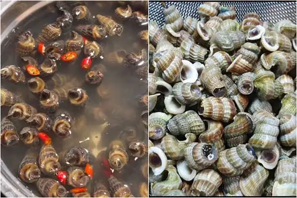Cách Làm Ốc Len Xào Dừa, Xào Sả Ớt Ngon Đậm Vị Tại Nhà