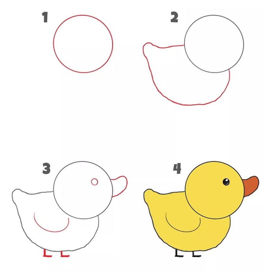cách vẽ các con vật đơn giản