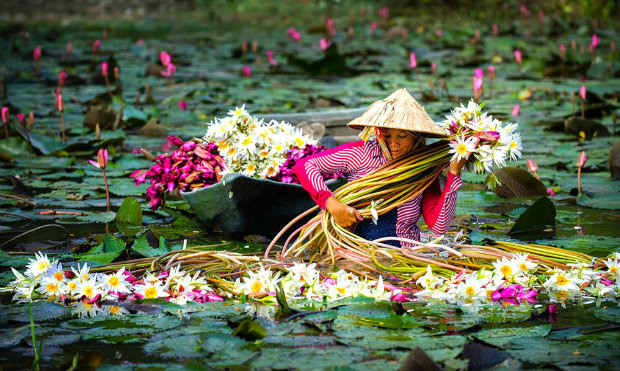 cảnh đẹp miền tây sông nước - Hình 2