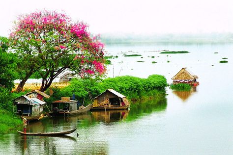 cảnh đẹp miền tây sông nước - Hình 4