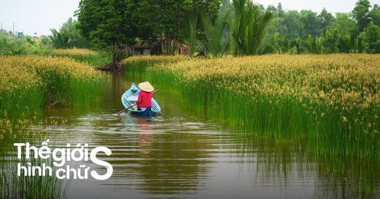 cảnh đẹp miền tây sông nước