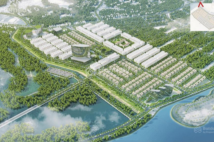 cao xanh hạ long quảng ninh - Hình 2