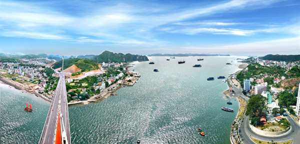 cao xanh hạ long quảng ninh - Hình 3