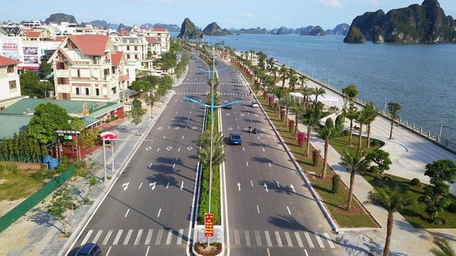 cao xanh hạ long quảng ninh - Hình 4